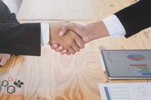 business translation