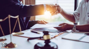 Document transcription services